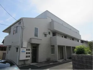 ブルームの画像