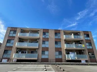 ルミナスコートの画像