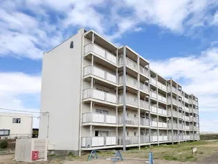 ビレッジハウス大島1号棟【5階】の外観