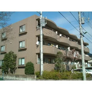 セルネKAIの画像