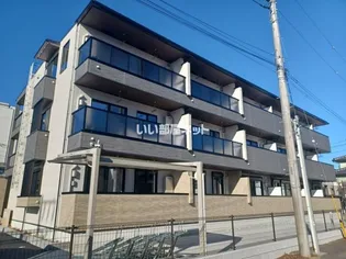 カメリア ORの画像