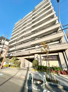 ソラーレNの画像