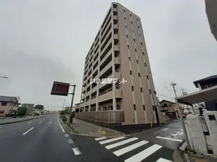 アマルフィーノの画像