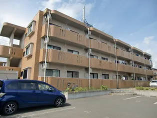 ユーミーミナミAの画像