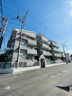 ドルーグ吉野の画像