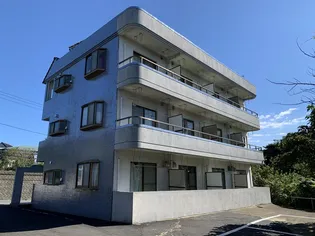 ラパス鉢形の画像