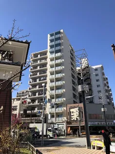 エムズイースト亀戸IIの画像