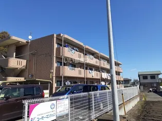 Y&Mサンライズマンションの画像