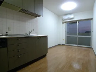 アルファ東古松II【3階】の居間