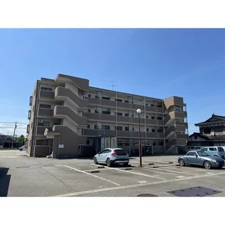セレーヌ赤田の画像