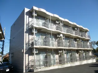 神奈川県伊勢原市粟窪【アパート】の外観