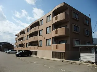 ミリュー向本折の画像