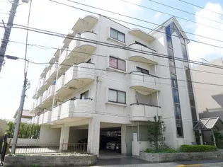 パレスフリージアの画像