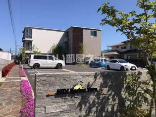 SHM SPRING TERUの画像