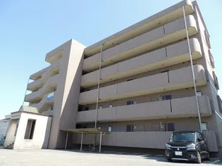 セントーレアIIIの画像