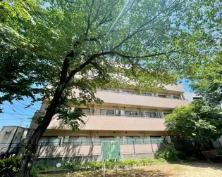 プラージュ桜公園の画像