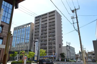 グレイスハイツ東中通タワー【9階】の外観