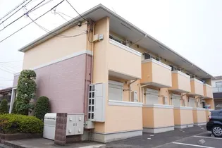 チェリーブラッサムの画像