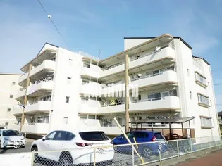 ハイツ野池の画像