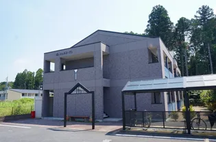 シェルルーY'Sの画像