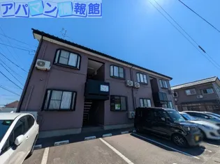 パインテイルの画像