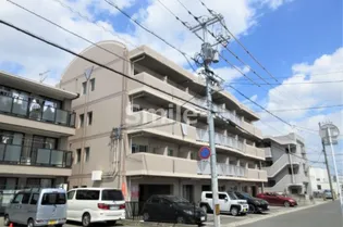 コンフォールの画像