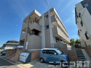 アリエッタコートの画像