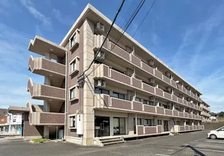 グレイスコート七番館【2階】の外観