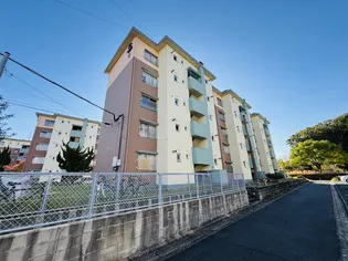 名島600棟の画像