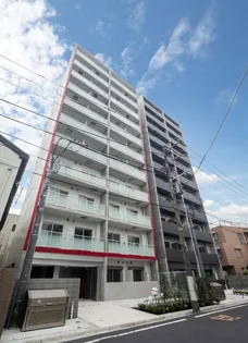 ドールマウスネオの画像