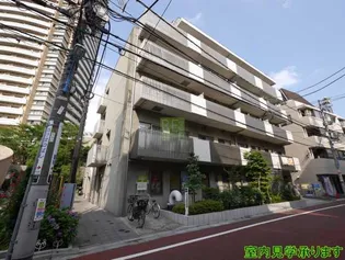 フロレスタアヤメの画像