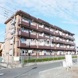 サンフラワーIIIの画像