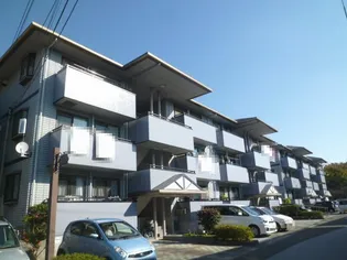 セゾン メルヴェーユ冬の画像