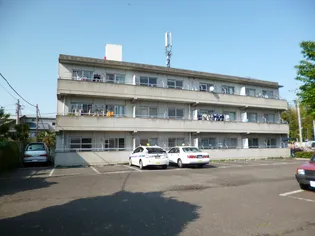 ハイネス大沢の画像