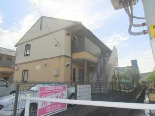 カメリアAの画像