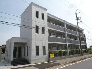 M'S柏の葉の画像