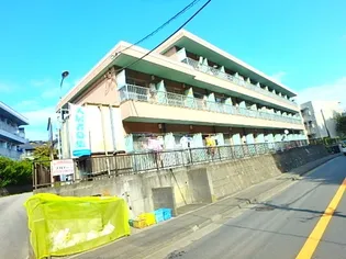 神奈川県川崎市麻生区片平1【マンション】の外観