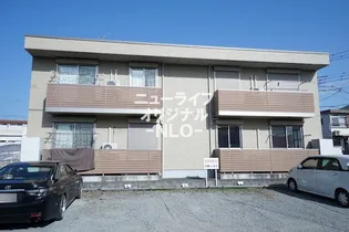 サニー グレイスの画像