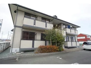 プラセールの画像