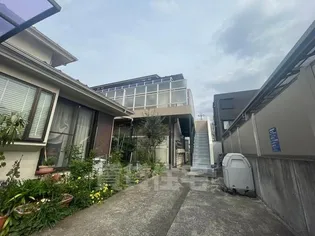 ジムノペティの画像