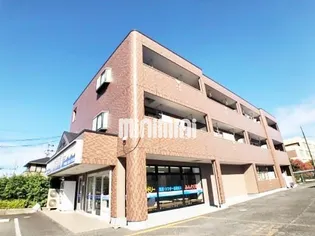 プレシャスコートの画像