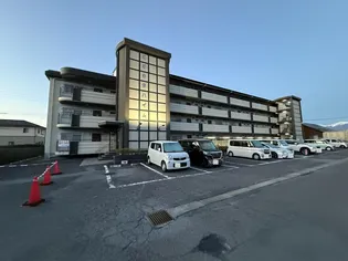 オオキタハイムの画像