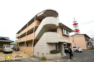 セリバ今の画像