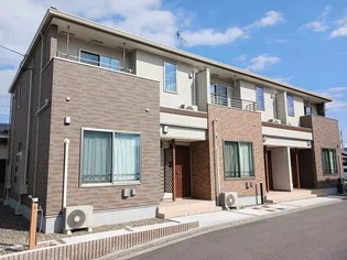 デイジーの画像