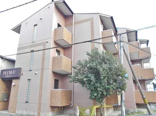 プラムユーの画像