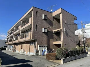 アロードリームの画像