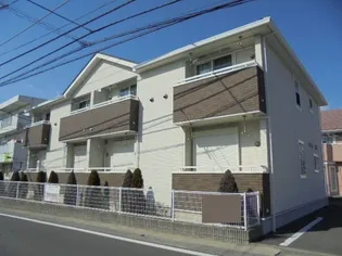 プラシードの画像