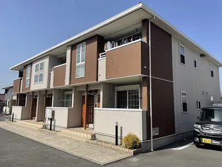 パイン グローブの画像