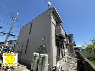 パピオンの画像