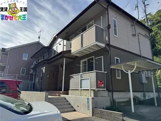 プリムローズBの画像